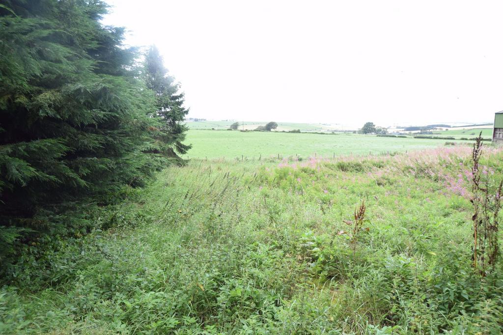 Plot - asp 2