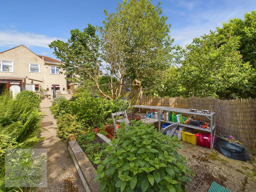 View Of The Back Of The Property