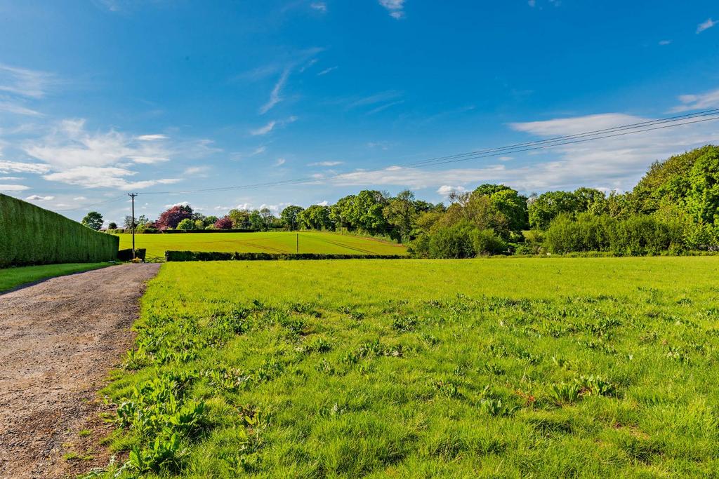 Grounds