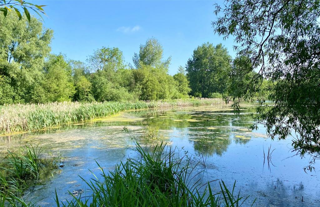 Backwell Lake