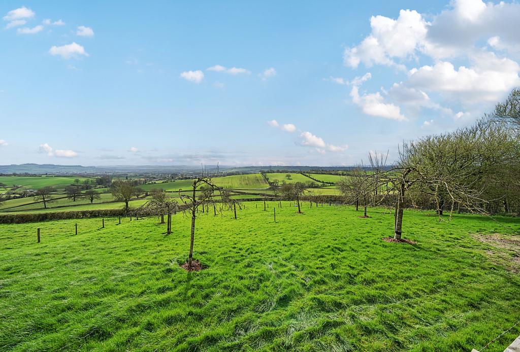Orchard