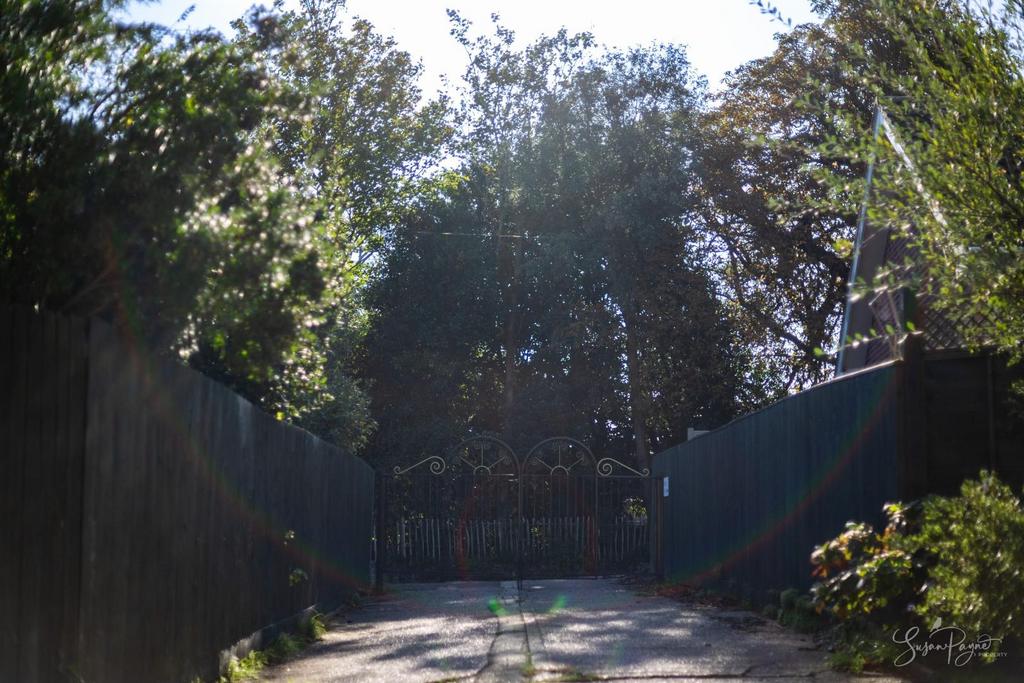 Gated Driveway