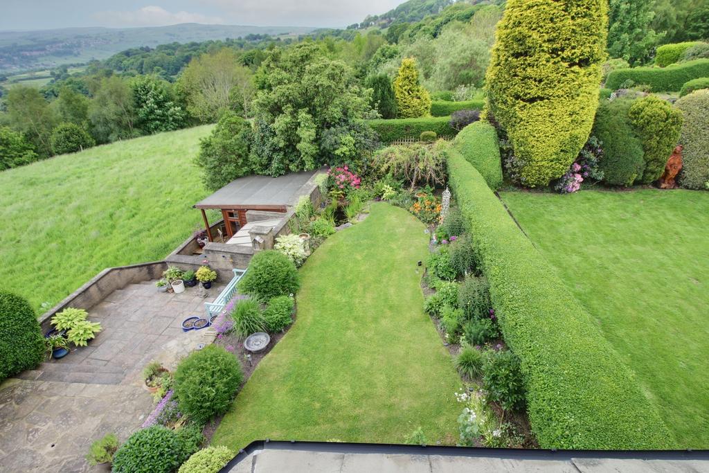 Aerial View of Garden