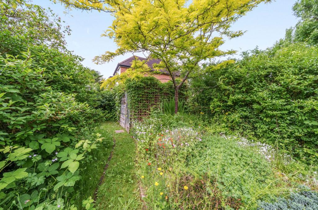 Rear Of Garden