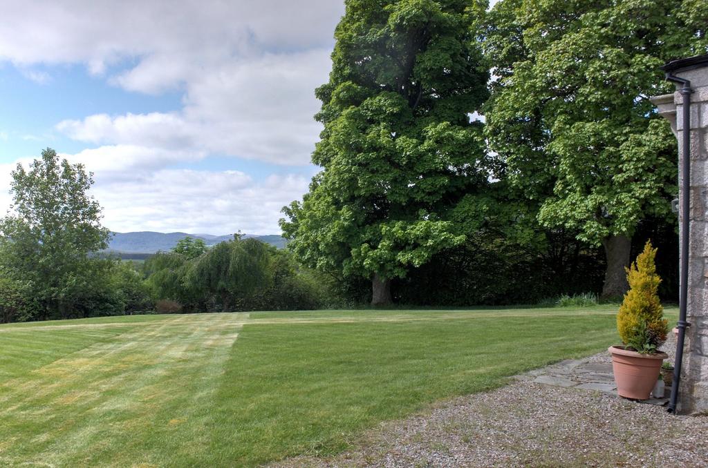 Garden and View