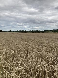 Farm land for sale, Sproatley, Near Hull