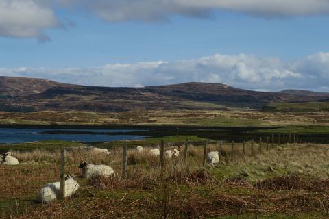 Land for sale, Plot A 11 Skinidin Dunvegan Isle of Skye Highland IV55 8ZS