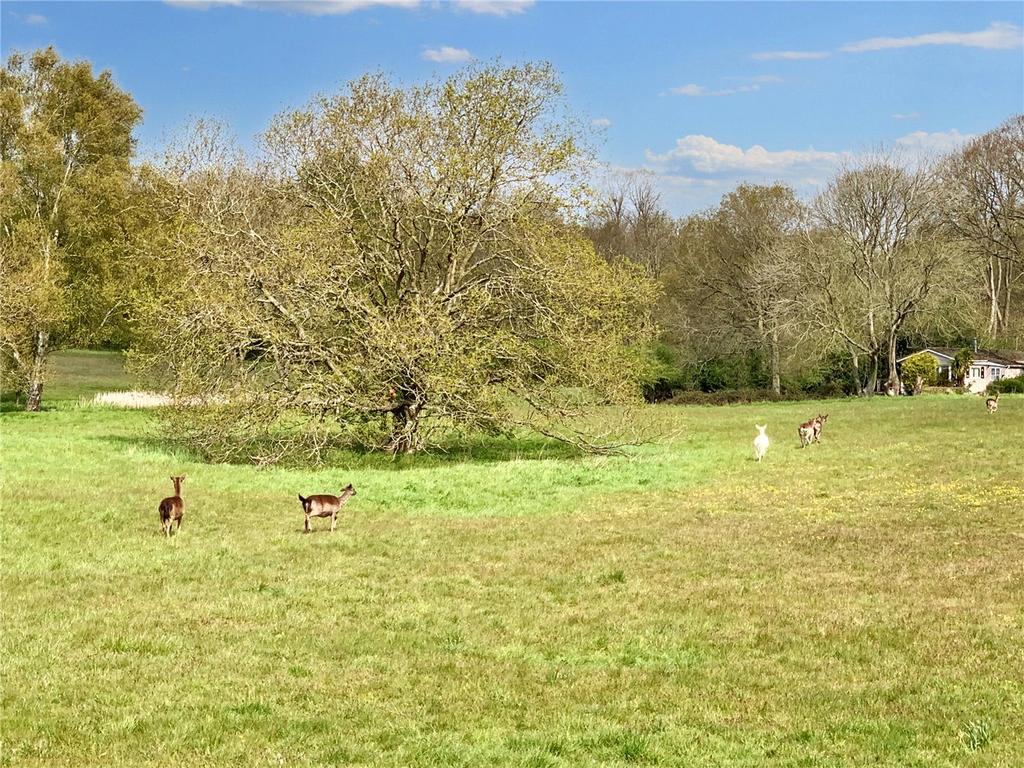 Grounds