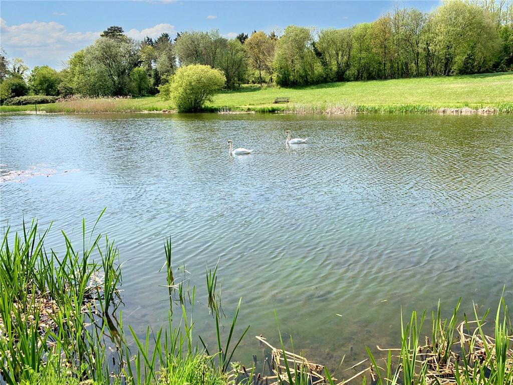 Lake