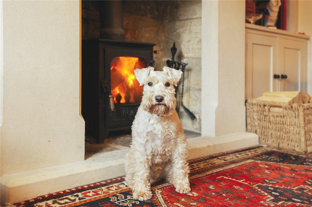 Pets Welcome!