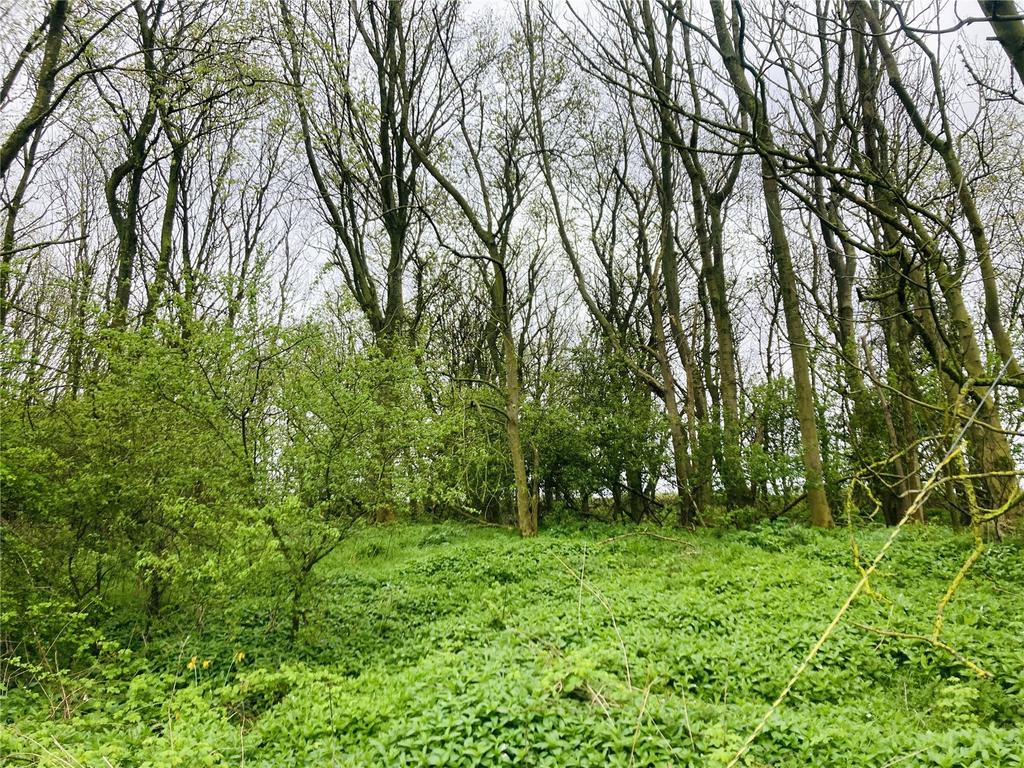 Ellington, Morpeth, Northumberland, NE61 Land for sale £13,000