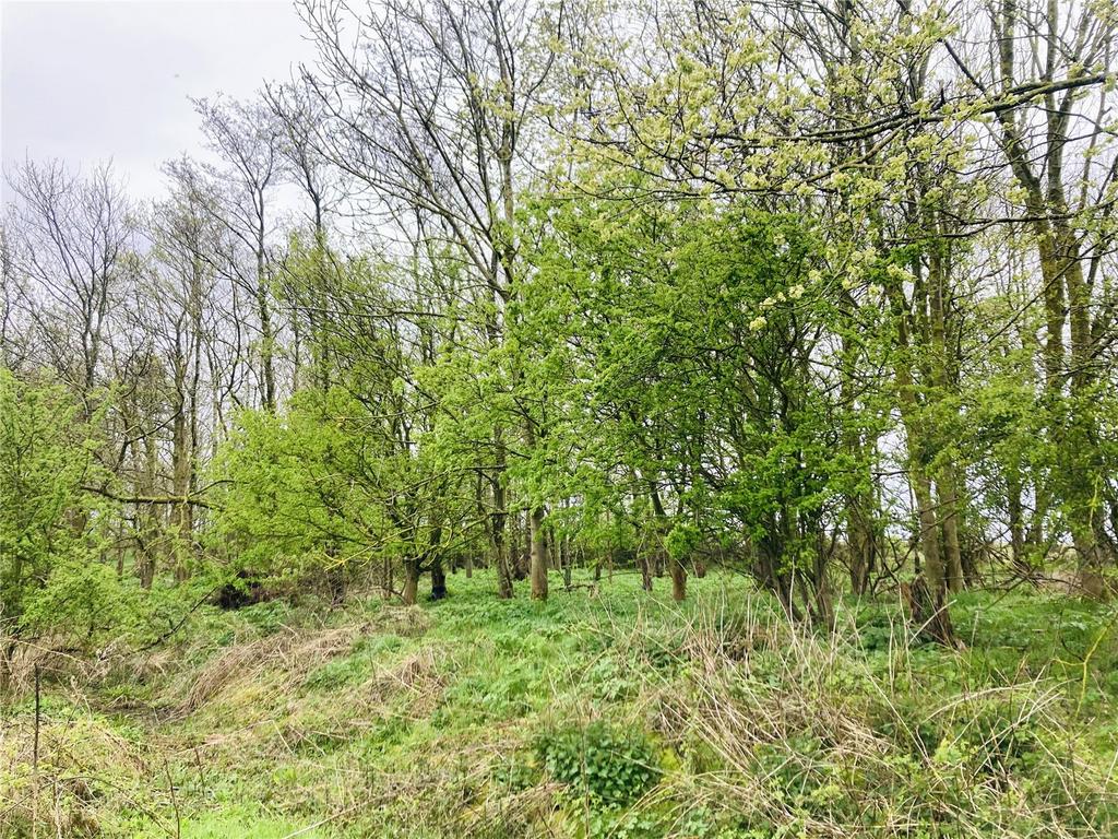 Ellington, Morpeth, Northumberland, NE61 Land for sale £13,000
