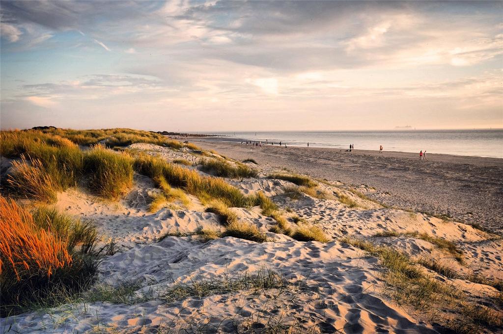 Nearby Beach