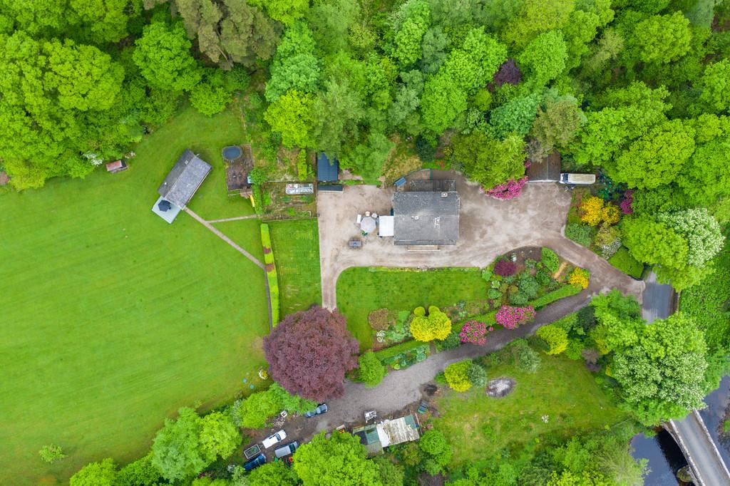 Lyne View