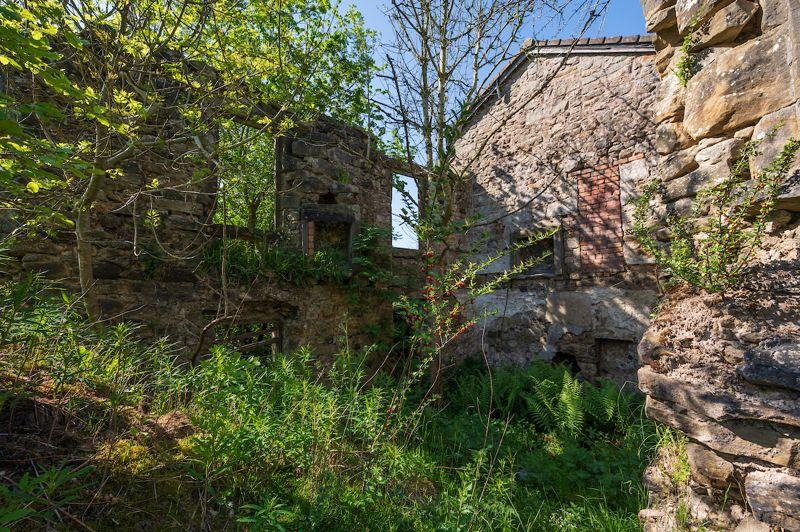 Ruin of...