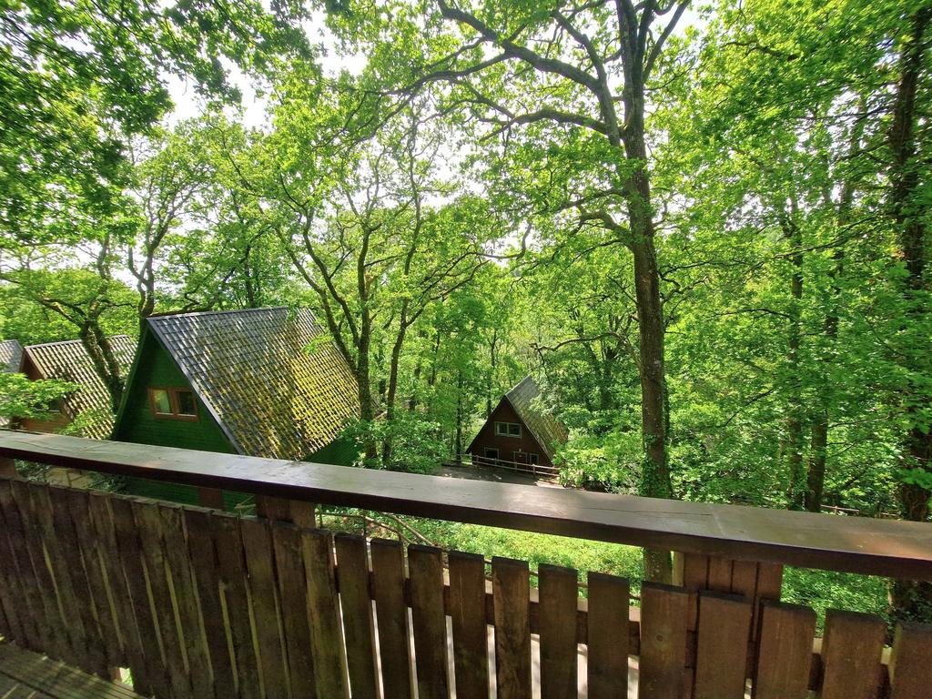 Fantastic Woodland Location