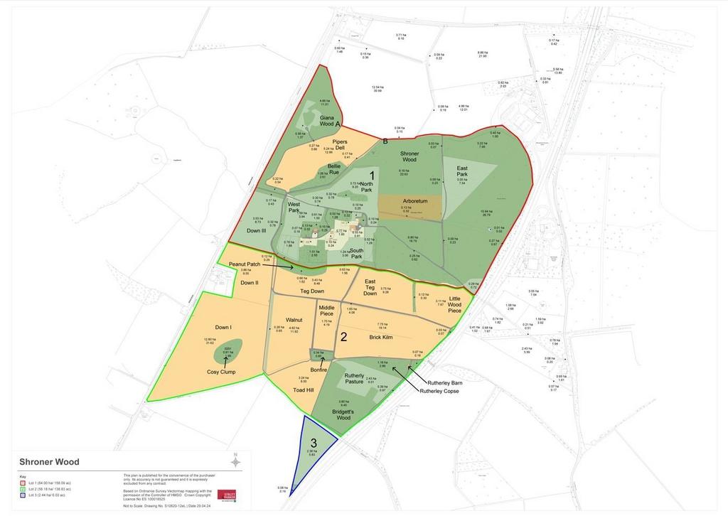 Estate Plan