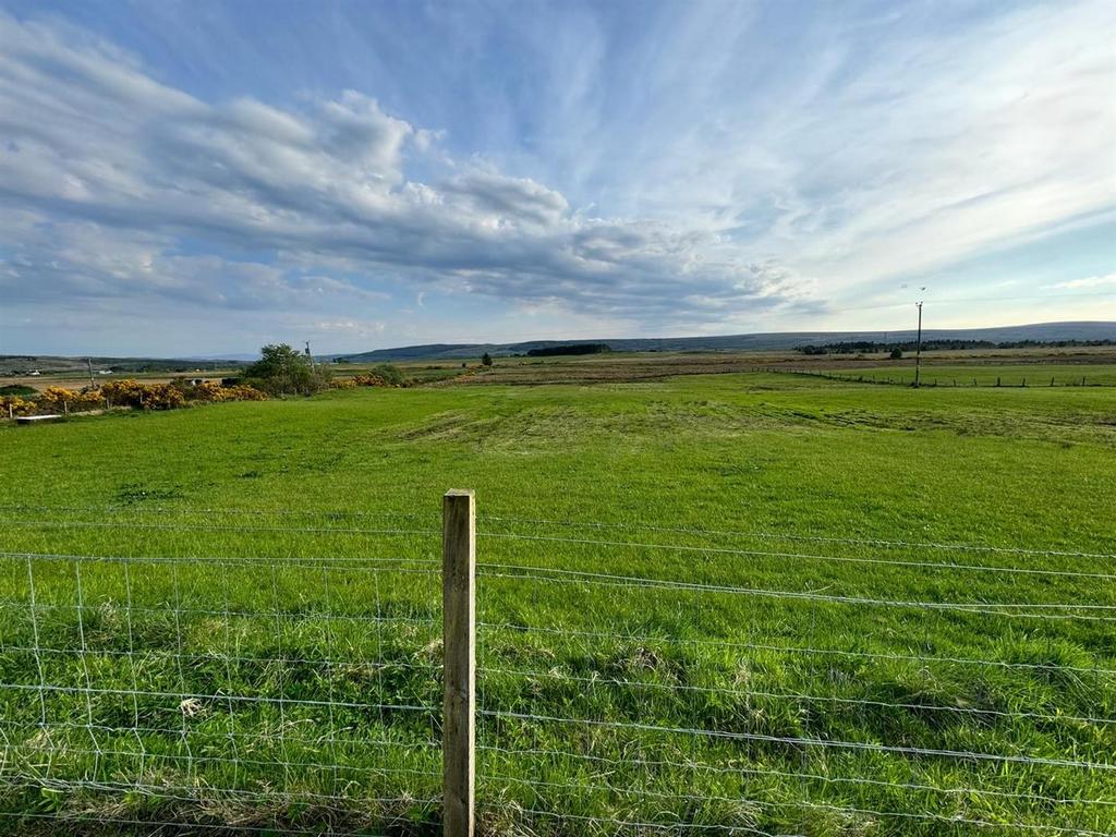 Field