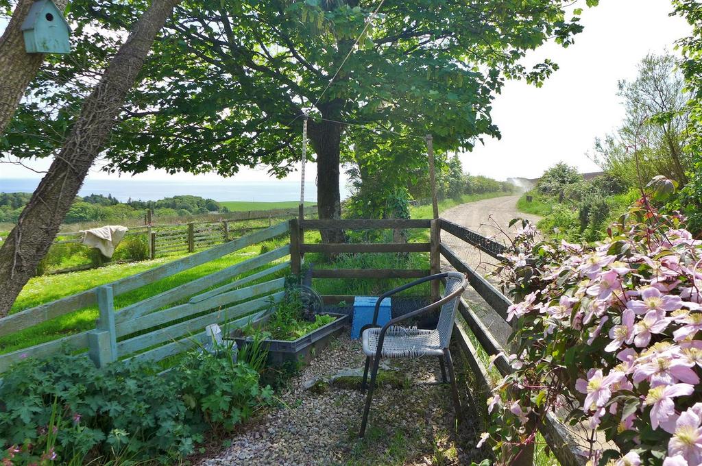 Garden and view