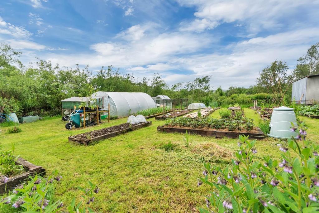 Vegetable Gardens