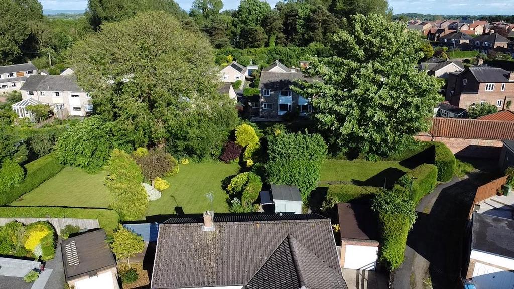 Thumbnail 2024-05-29-18-08-41-928.png