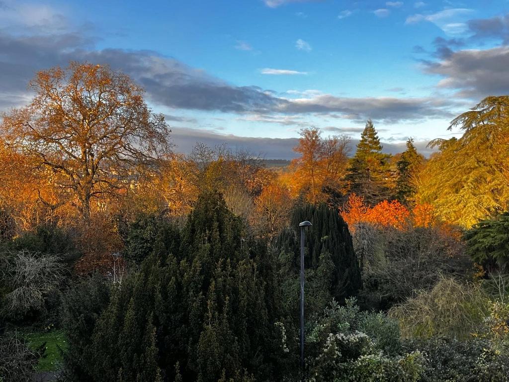 Dusk View