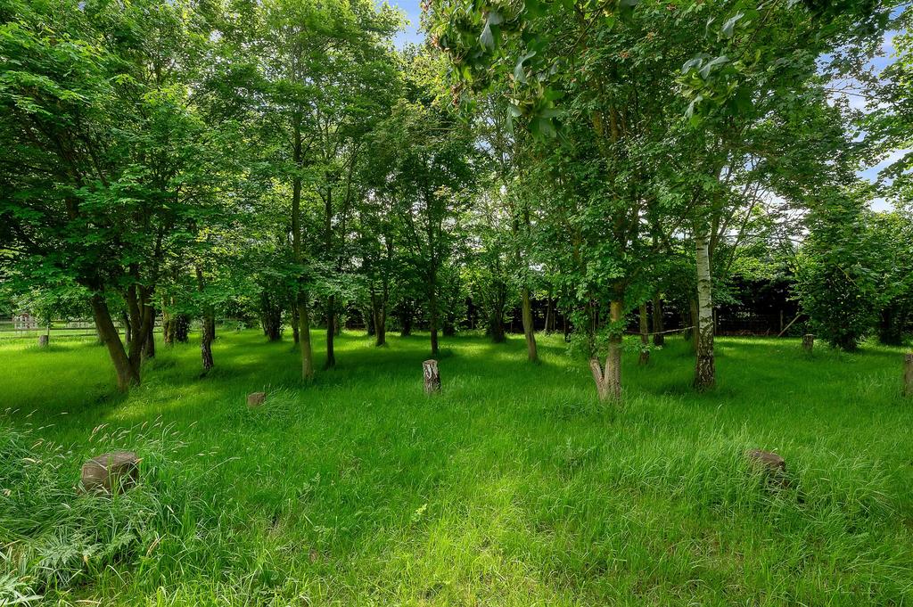 Grounds