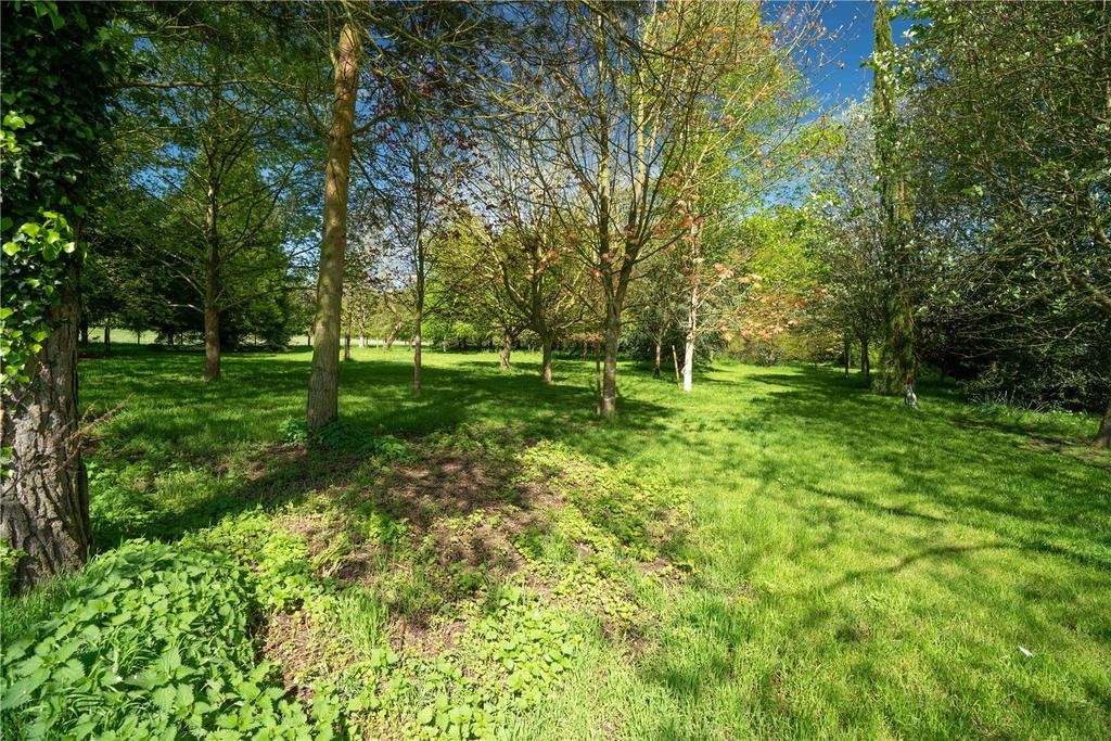 Woodland