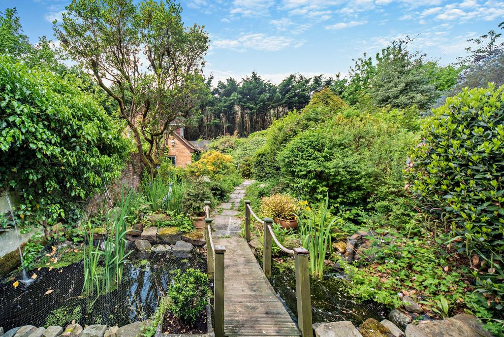Pond With Bridge