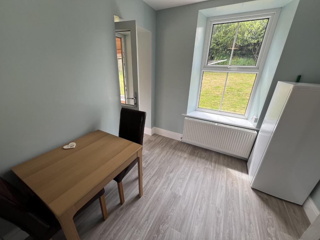 Modern Kitchen/Dining Room