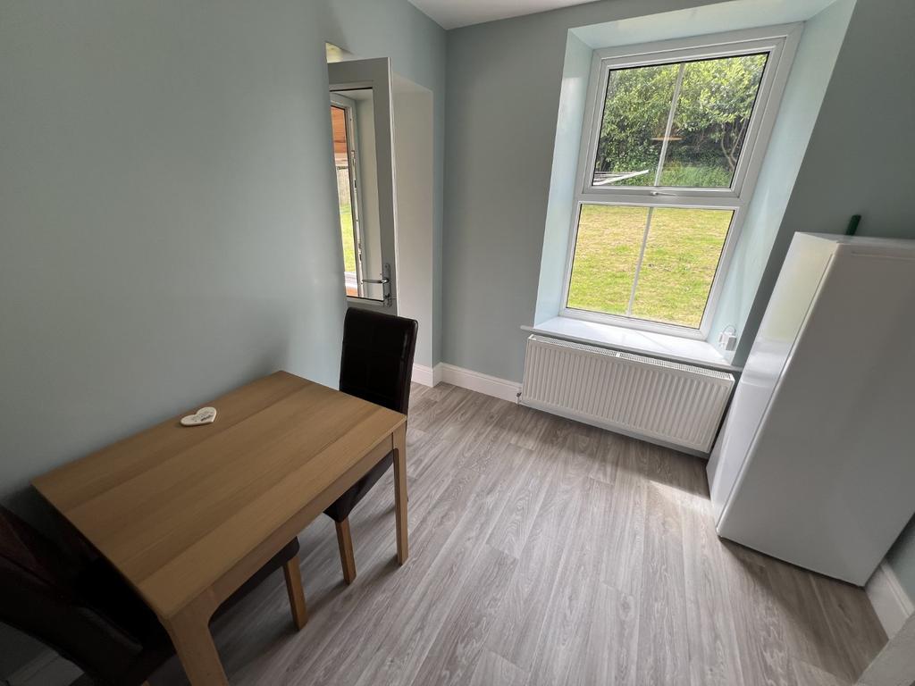 Modern Kitchen/Dining Room