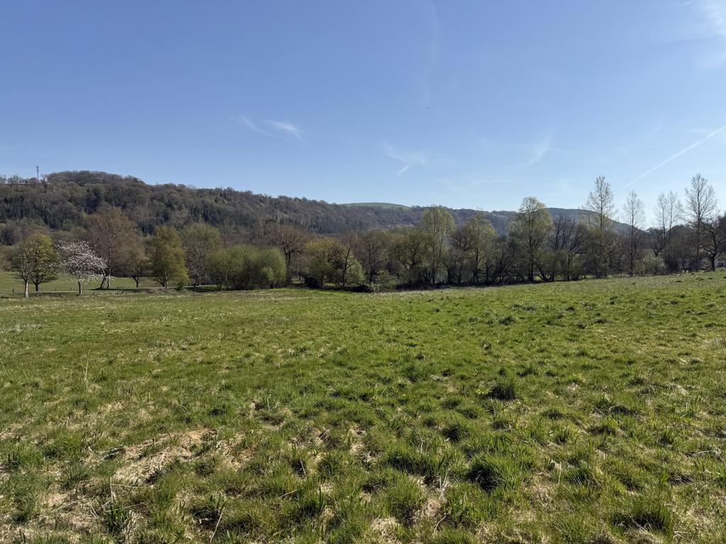 The Land