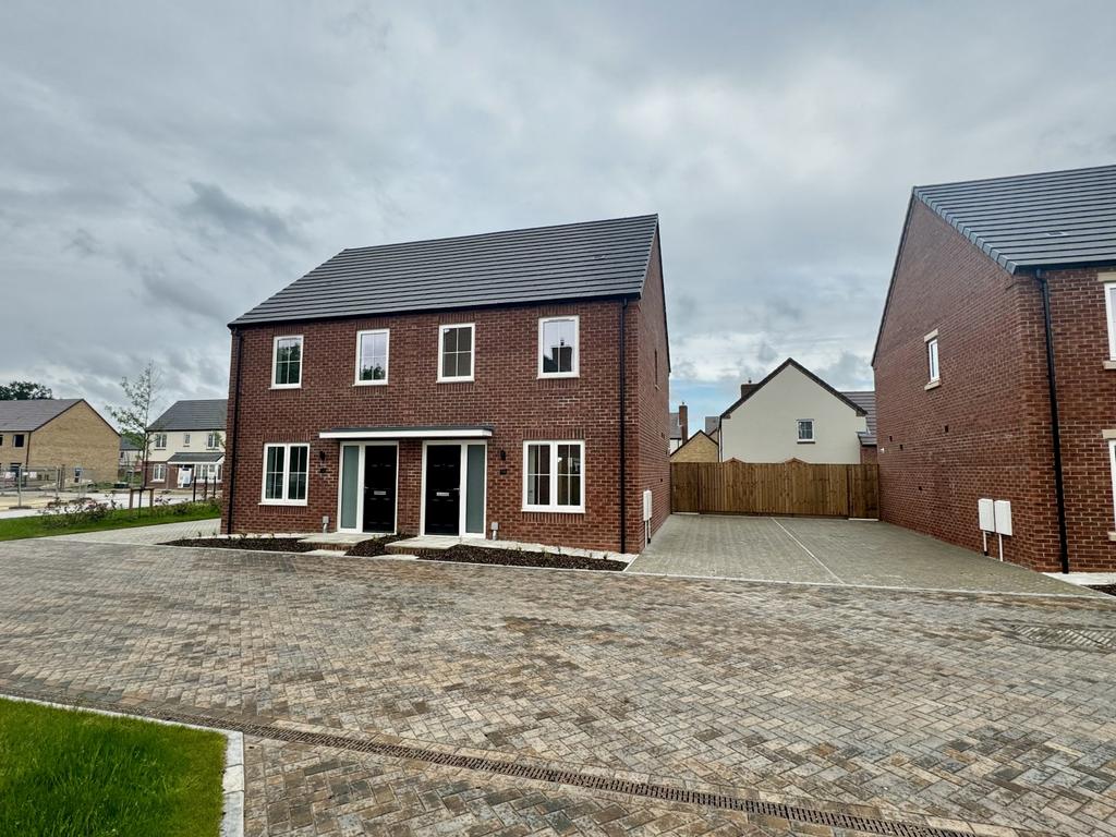 Img 1375