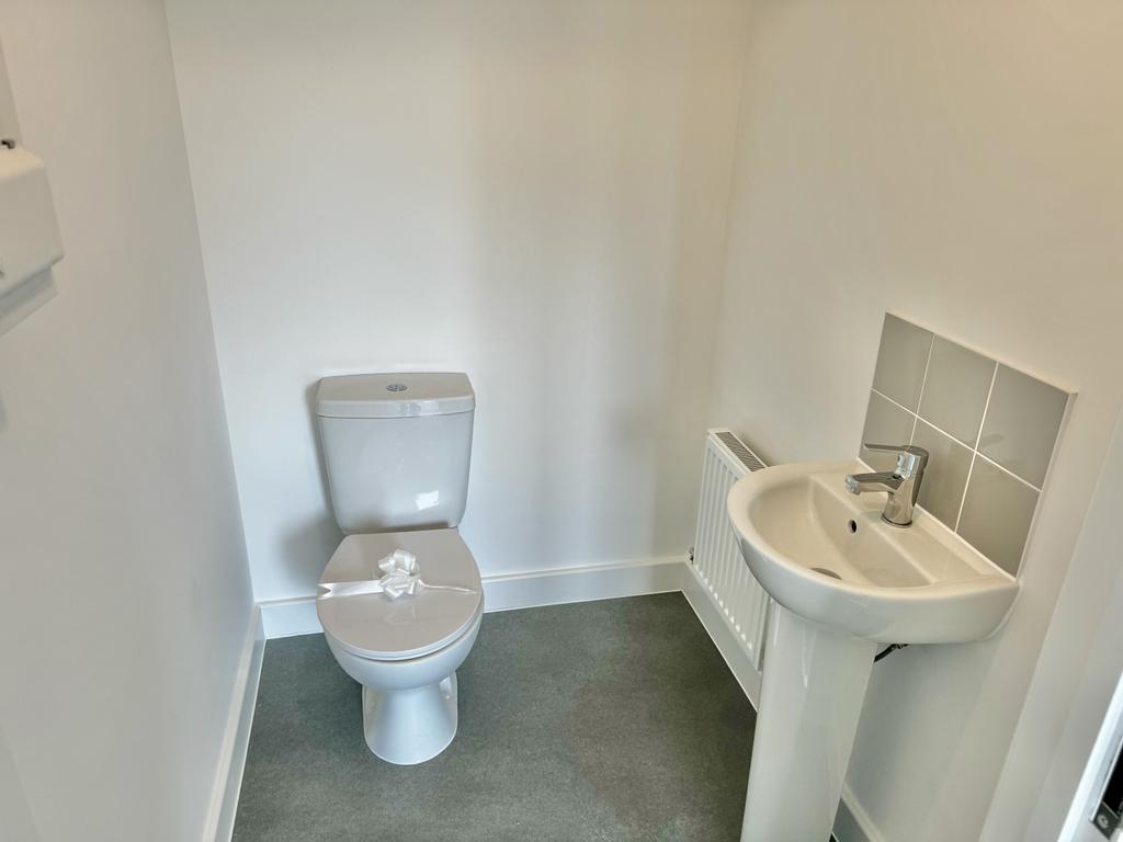 Img 1380