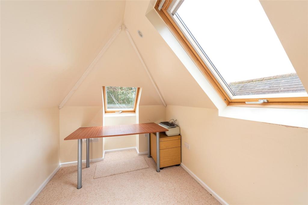 Study Area