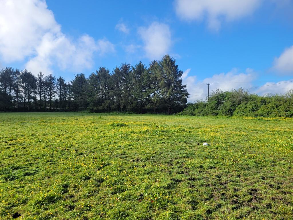 Ebenezer, Bugle, St Austell Land for sale £100,000