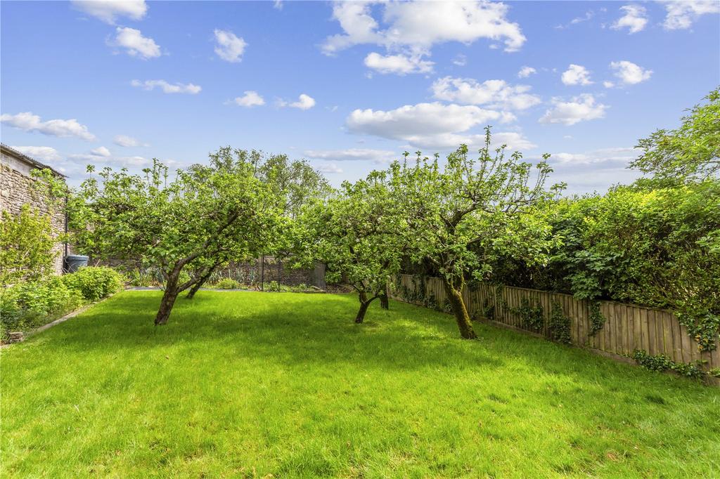 Orchard