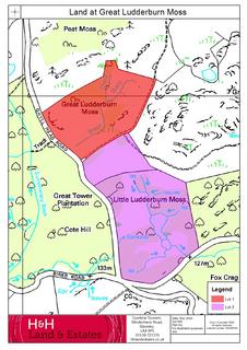 Land for sale, Cartmel Fell, Cumbria LA23