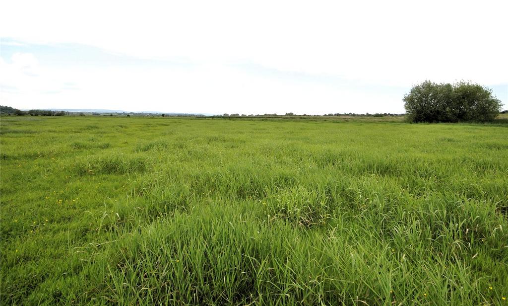 East Lyng, Taunton, Somerset, TA3 Land for sale £50,000