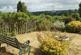 Dsc 5515.jpg