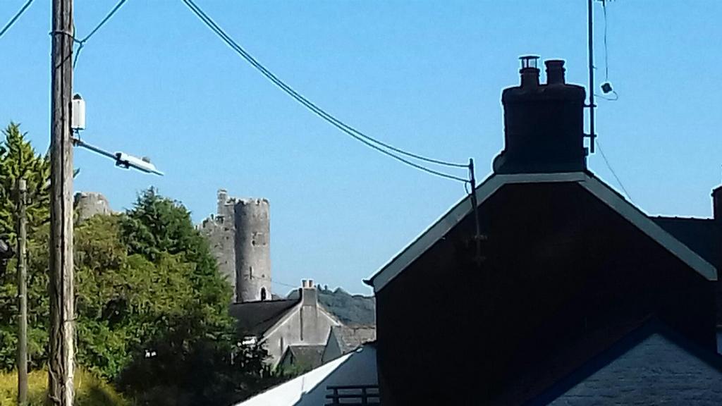 Castle view from cottage garden.jpg