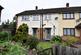 Dsc 1114.jpg
