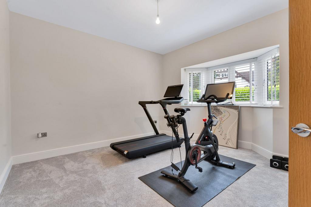 Family Room / Gym