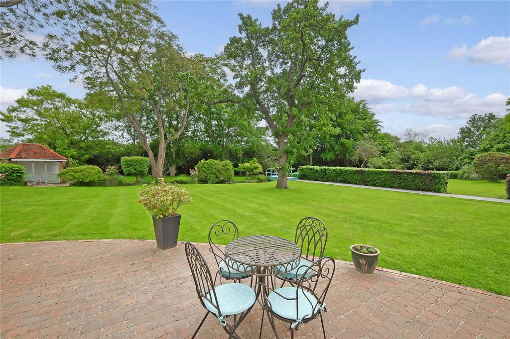 Patio Area