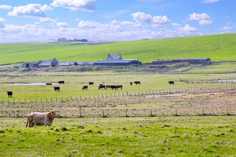 Farm for sale, Backaskaill, Sanday, Orkney, Orkney Islands, KW17