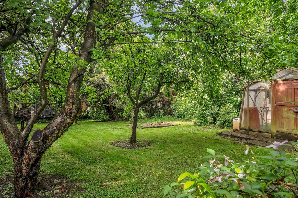 Orchard