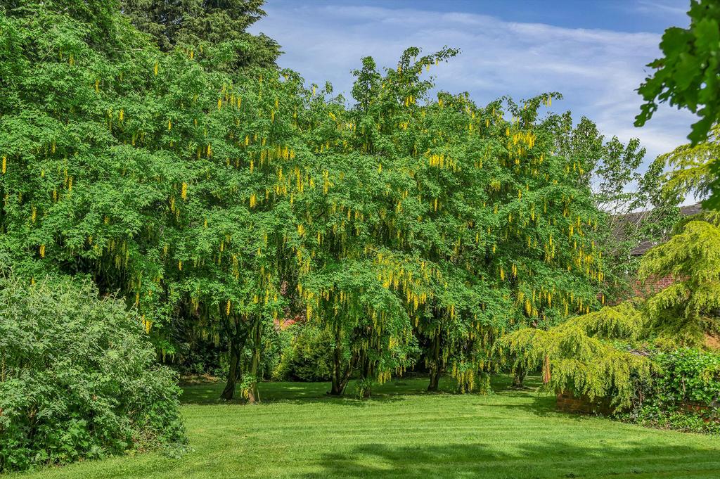 Gardens