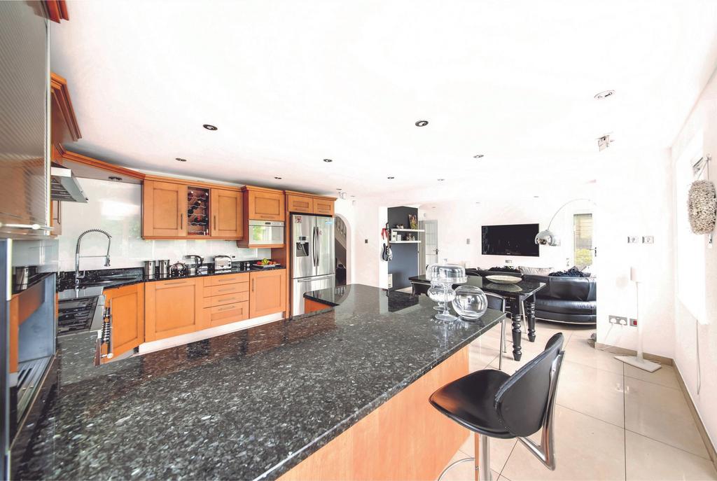 Living dining kitchen