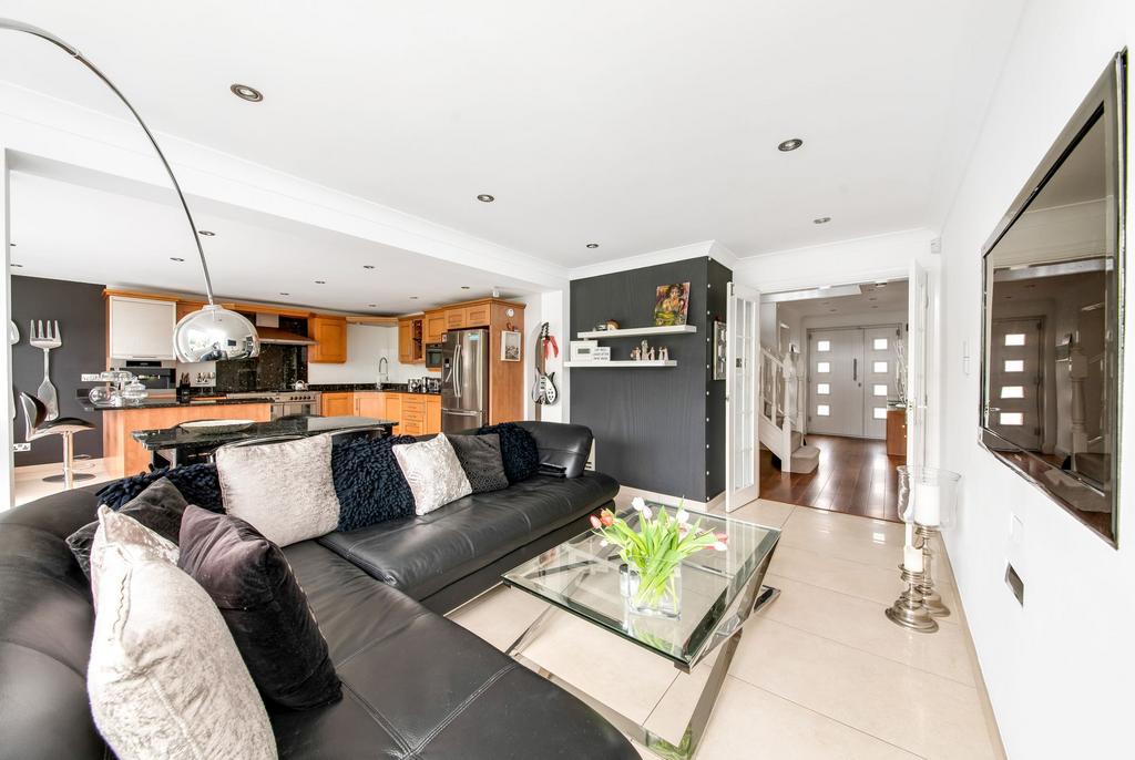 Living dining kitchen