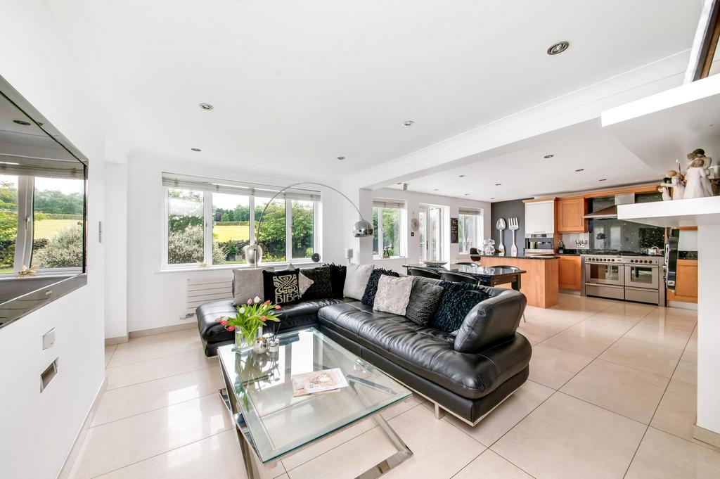 Living dining kitchen